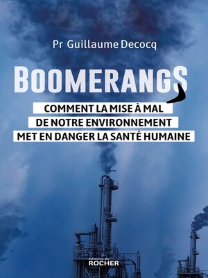 cover image of Boomerangs
